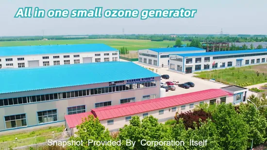 All in One Ss 316L 10g 20g 50g 80g 100g/H Ozone Generator for Bottle Water and Drinking Water Treatment